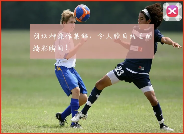 羽坛神操作集锦,令人瞠目结舌的精彩瞬间!